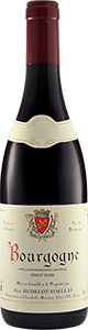 Image for Bourgogne Rouge, Domaine Hudelot-Noellat 2020