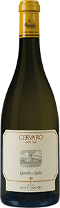 Image for Cervaro della Sala, Antinori (2023)