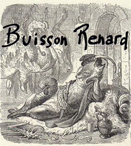 Image for Pouilly Fume Buisson Renard, Domaine Didier Dagueneau 2020