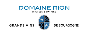 Image for Nuits Saint Georges Aux Barrières, Domaine Rion 2020