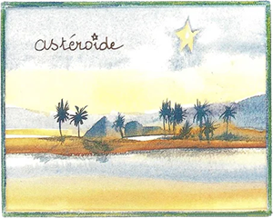 Image for Pouilly Fume Asteroide, Domaine Didier Dagueneau 2020