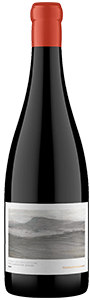 Image for Syrah on Sandstone, Gabrielskloof 2020