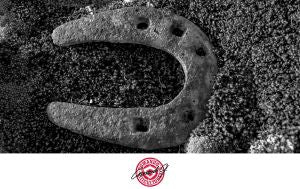 Shared image for fv_317492021