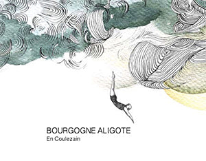 Image for Bourgogne Aligote En Coulezain, Les Horees (2021)