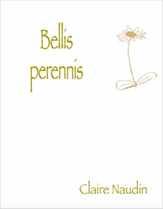 Image for Hautes Cotes de Beaune Blanc Bellis Perennis, Naudin Ferrand 2023