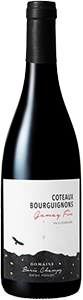 Image for Côteaux Bourguignons Gamay Fin, Boris Champy (2021)