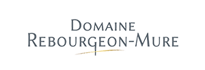 Image for Volnay Les Mitans, Domaine Rebourgeon-Mure 2019