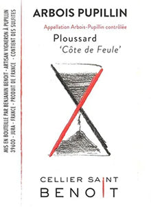 Image for Arbois Pupillin Ploussard Cote de Feule, Cellier Saint Benoit (2022)