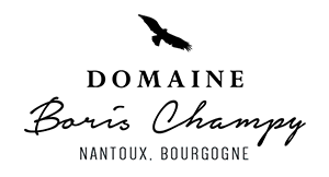 Image for Beaune Coucherias, Boris Champy 2022