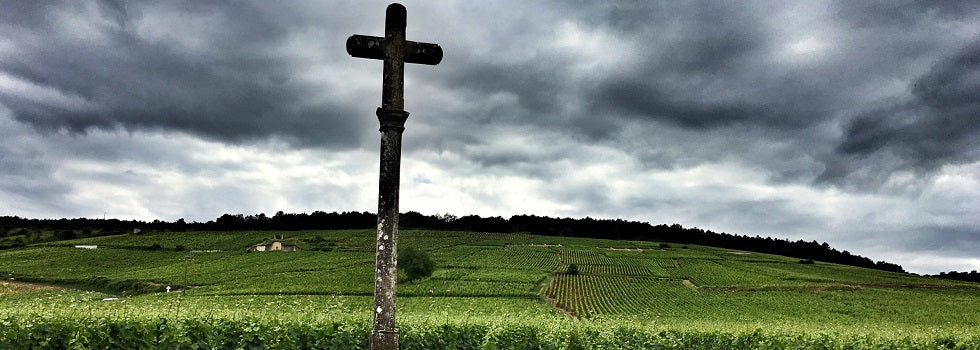 Burgundy Fine Wine Price List